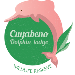 Cuyabeno-Dolphin-Lodge